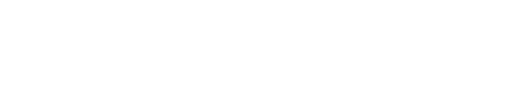 Shopify Partners